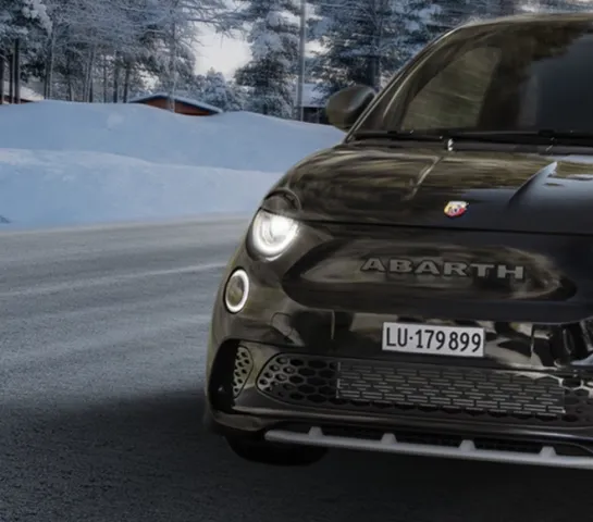 Abarth Wintercheck